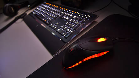 Keyboard and mouse nightshot