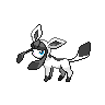 Black and White Glaceon