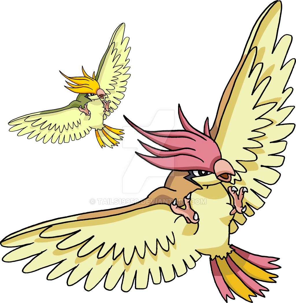 017 - Pidgeotto