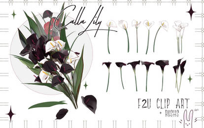 [F2U] Clip studio Brush  Calla Lily