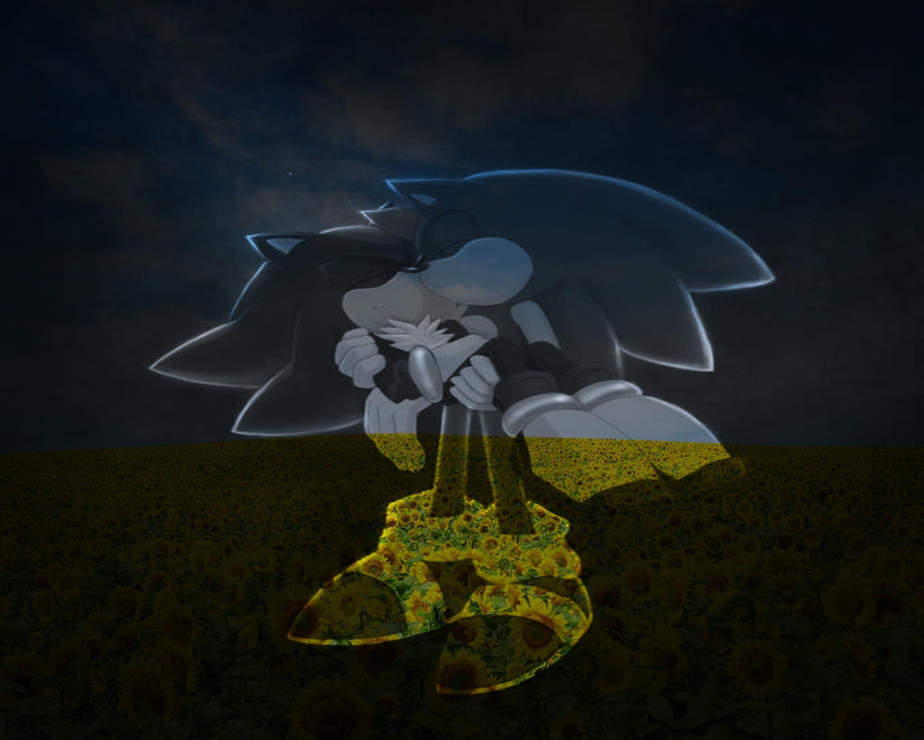 Sonadow Wallpaper Dark by Sonic-Werehog-Fury on DeviantArt