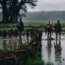 Marsh