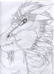 Dragon head