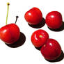 Cherries on White