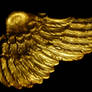 Gold Wing on Black
