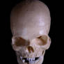 Skull on Black