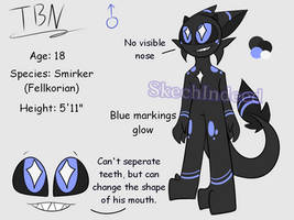 TBN Reference Sheet