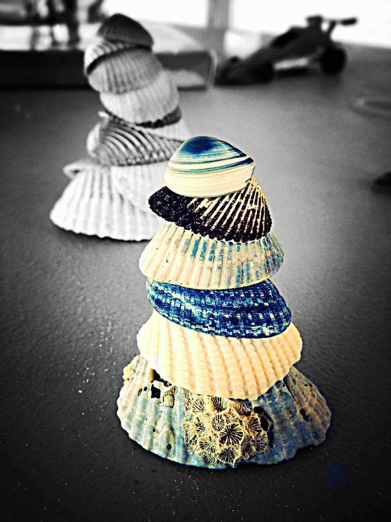 More shells by violinlover2899 on DeviantArt