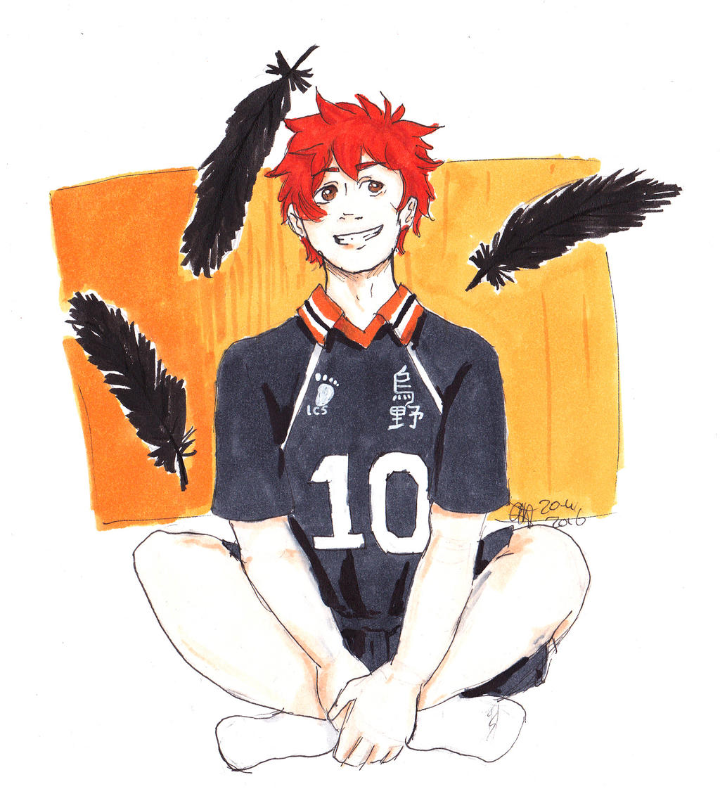 haikyuu hinata by AnnHolland on DeviantArt