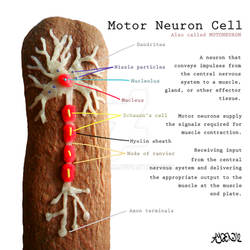 Neuron Cookie