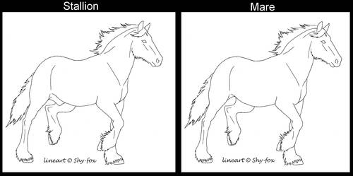 Shire mare and stud lineart