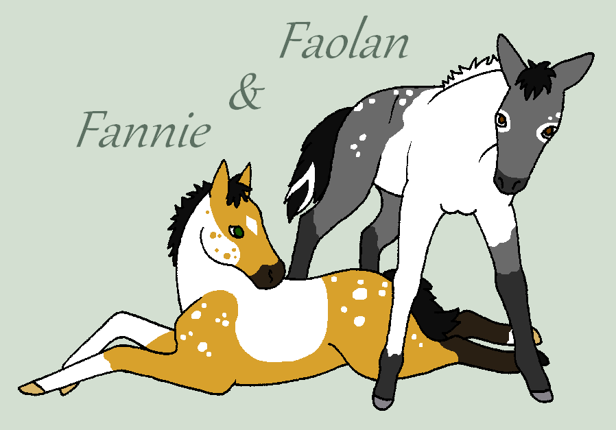 Fannie and Faolan