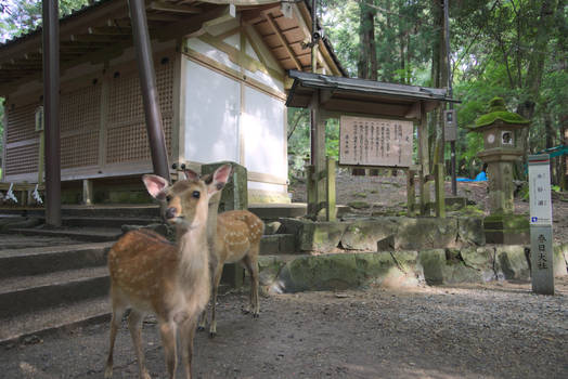 Nara