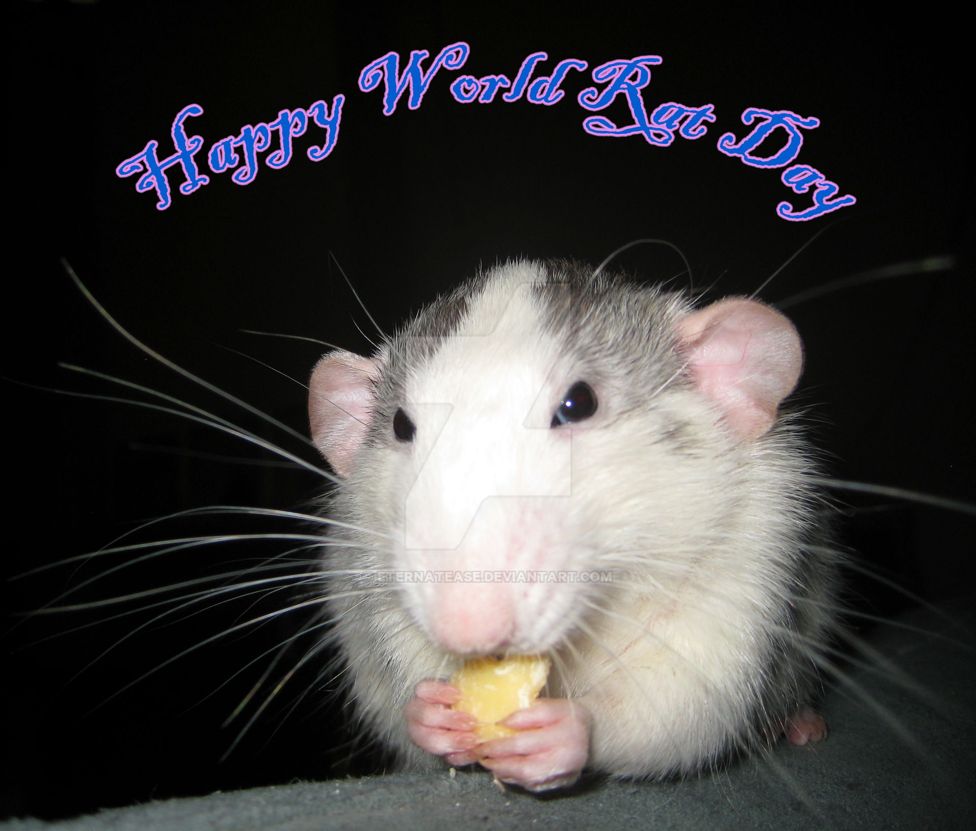 Happiness Rats Happy World Rat Day! by Eternatease on DeviantArt