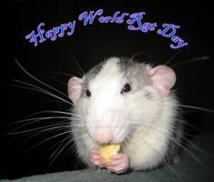 Happy World Rat Day!