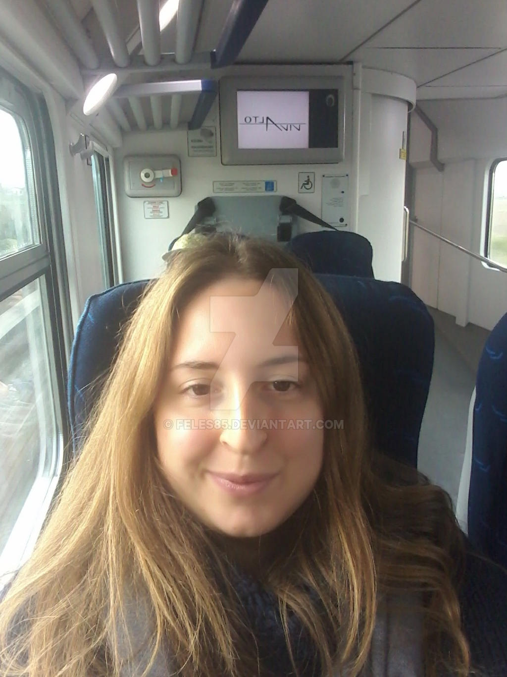 In treno