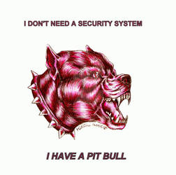 I Have A Pit Bull