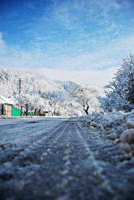 Winter landscape