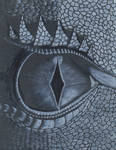 Dragon Eye by asubmarinewinter