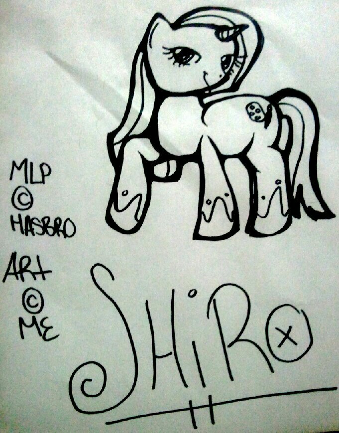 Shiro the pony