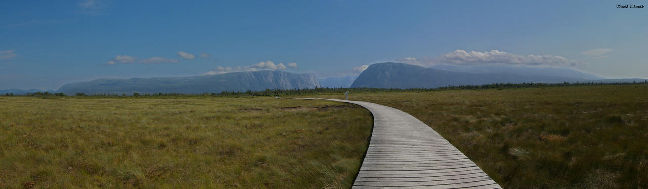 Gros Morne Panorama