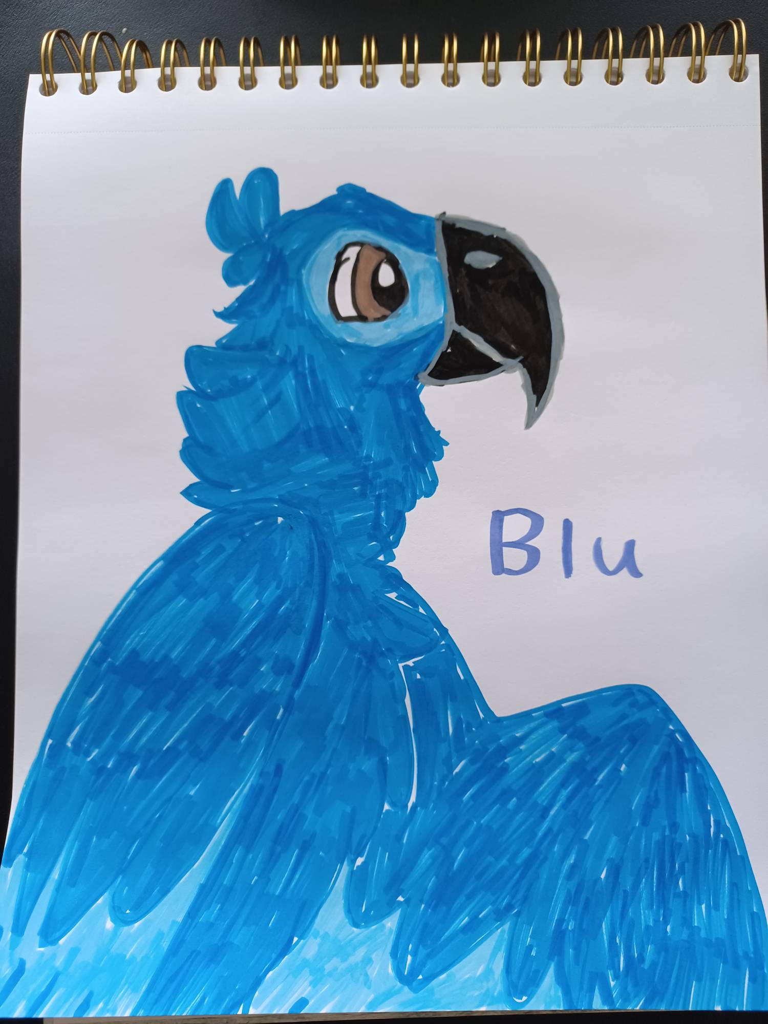 Blu Rio Render Deviantart Blu (Rio 2011) by littlebugp on DeviantArt