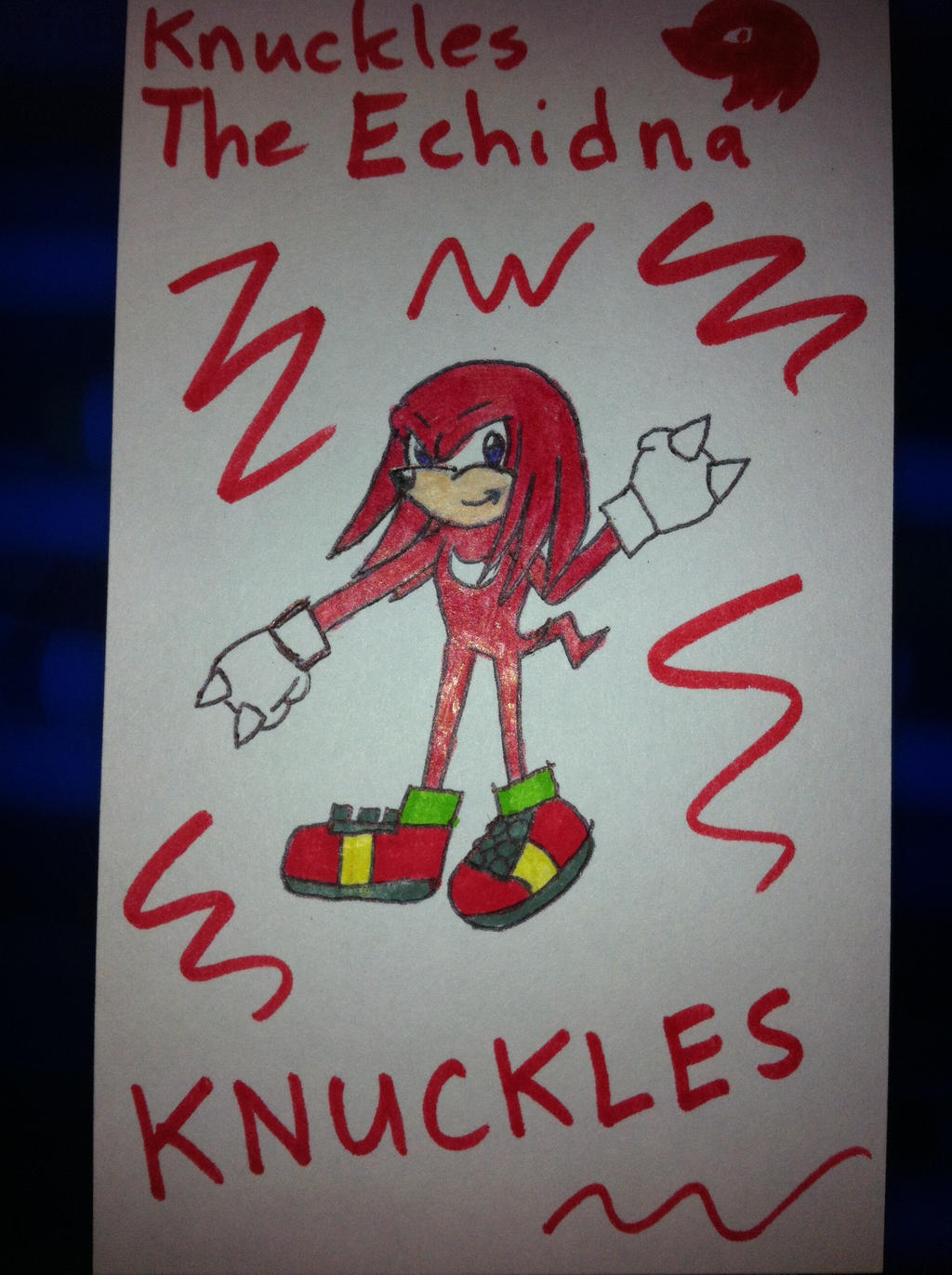 Knuckles the Echidna