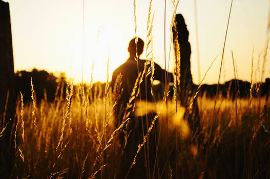 On a field