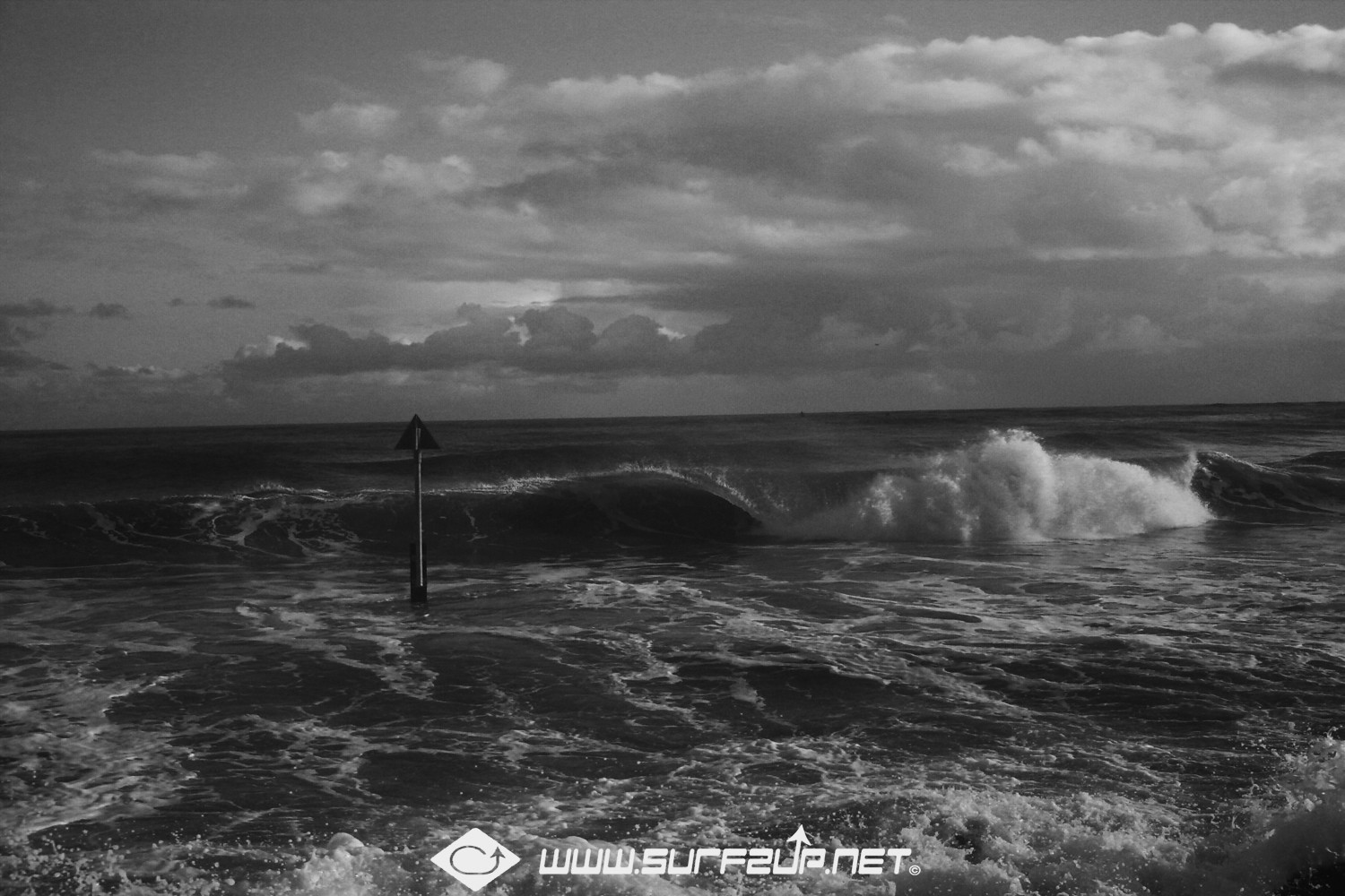 Surfzup Photography 13