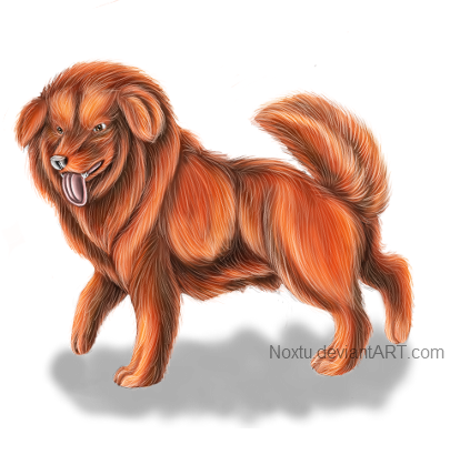 Red Tibetan Mastiff