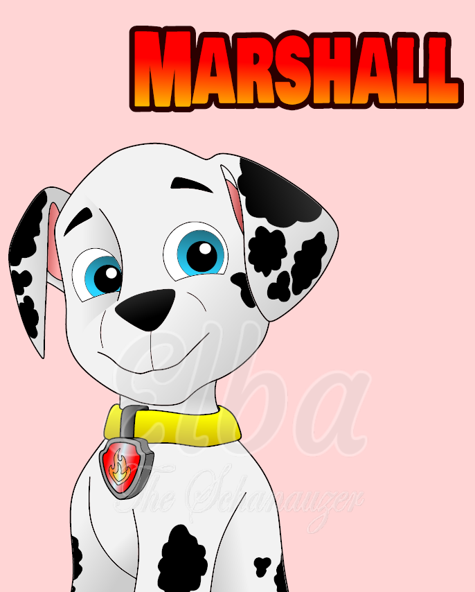 Marshall paw patrol by ElbaTheSchnauzer on DeviantArt