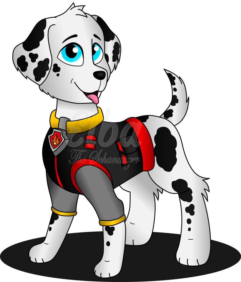 Foto marshall online paw patrol