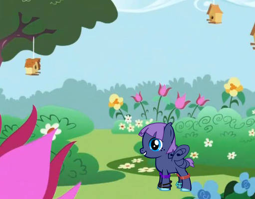 Baby Fairy Pony