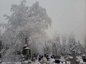 Winter Cementary