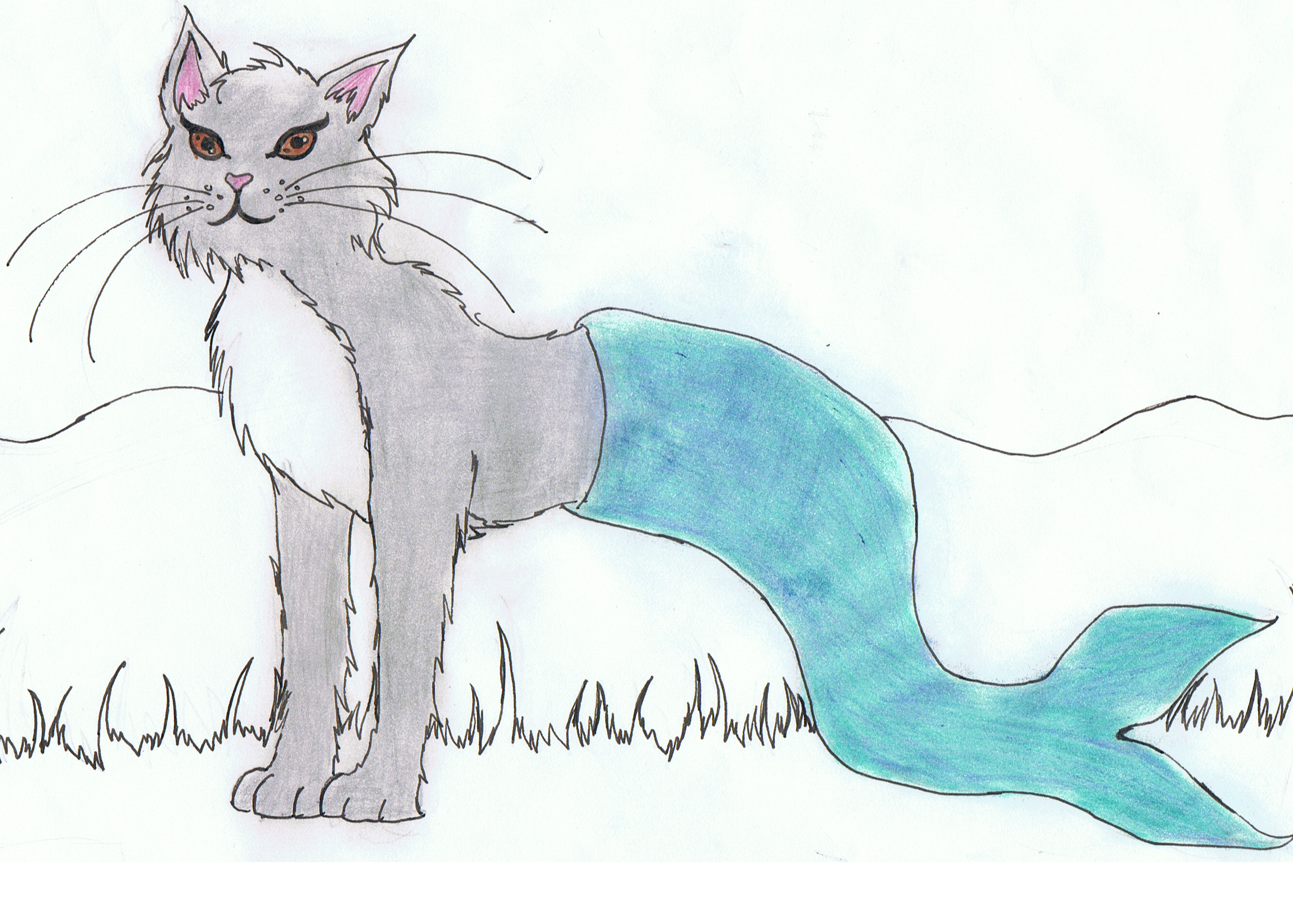 Misticat, the Mermaid Cat