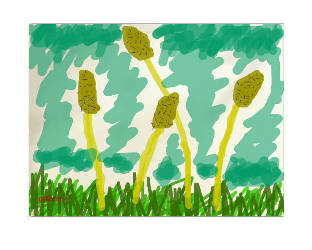 Cattails by odinfin on DeviantArt