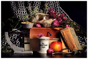 Vanitas With 43 Grams of Vitamin D.