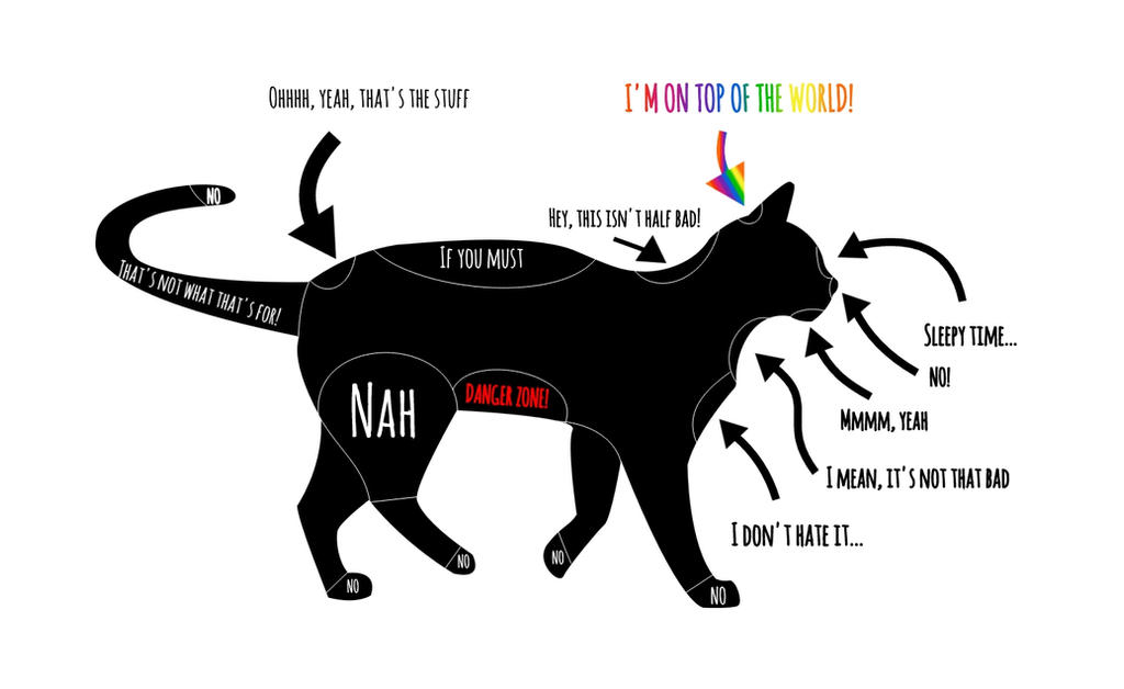 Cat Petting Chart How To Pet Your Cat! by WolfAmaterasu on DeviantArt