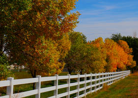 Fall in Colorado