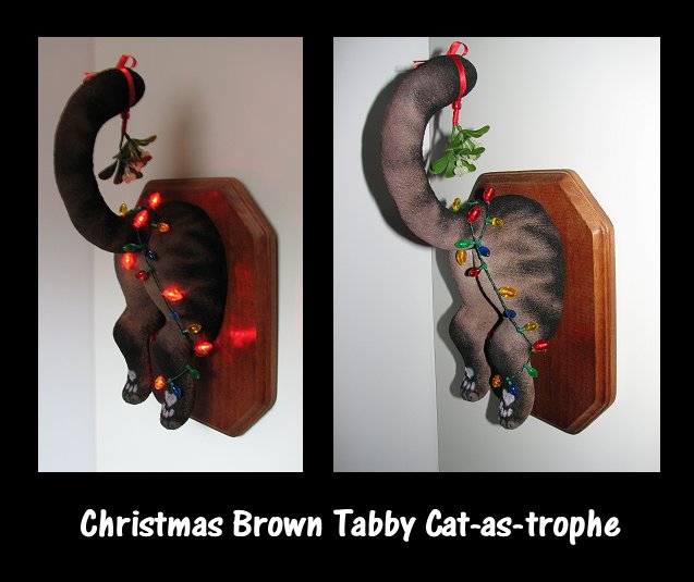 Brown Tabby Xmas Catastrophe