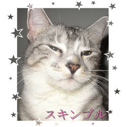 Skimble, my voice coach