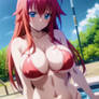 Rias`s New Bikini