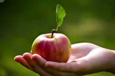 An apple by veltsi