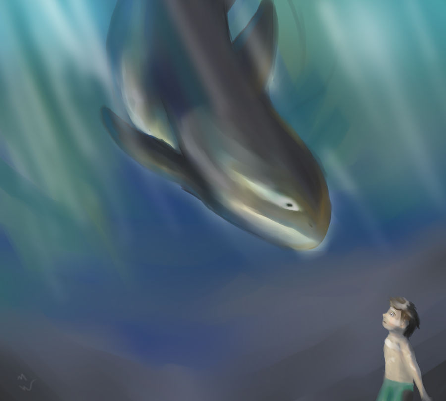 The Orca Boy by Dekuinthelake on DeviantArt