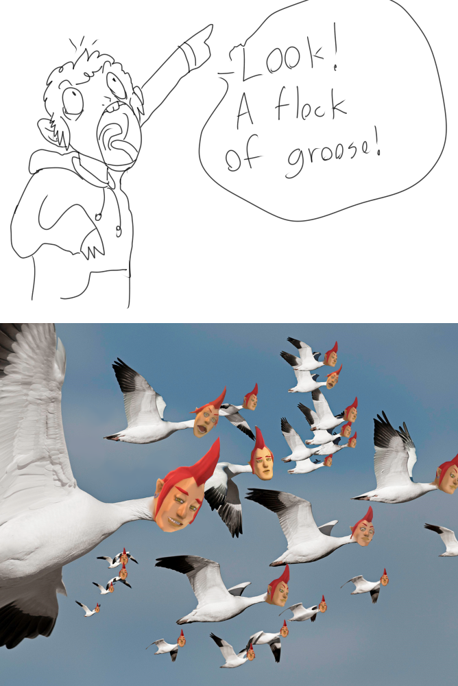 Flock of Groose