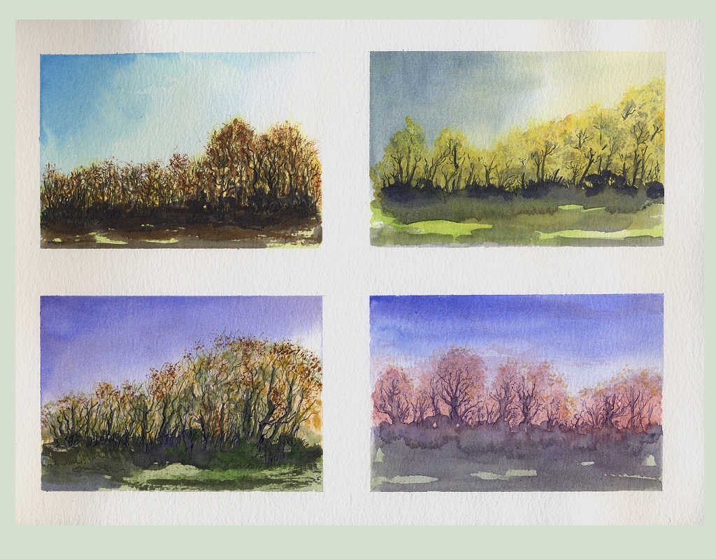 Trees study 1