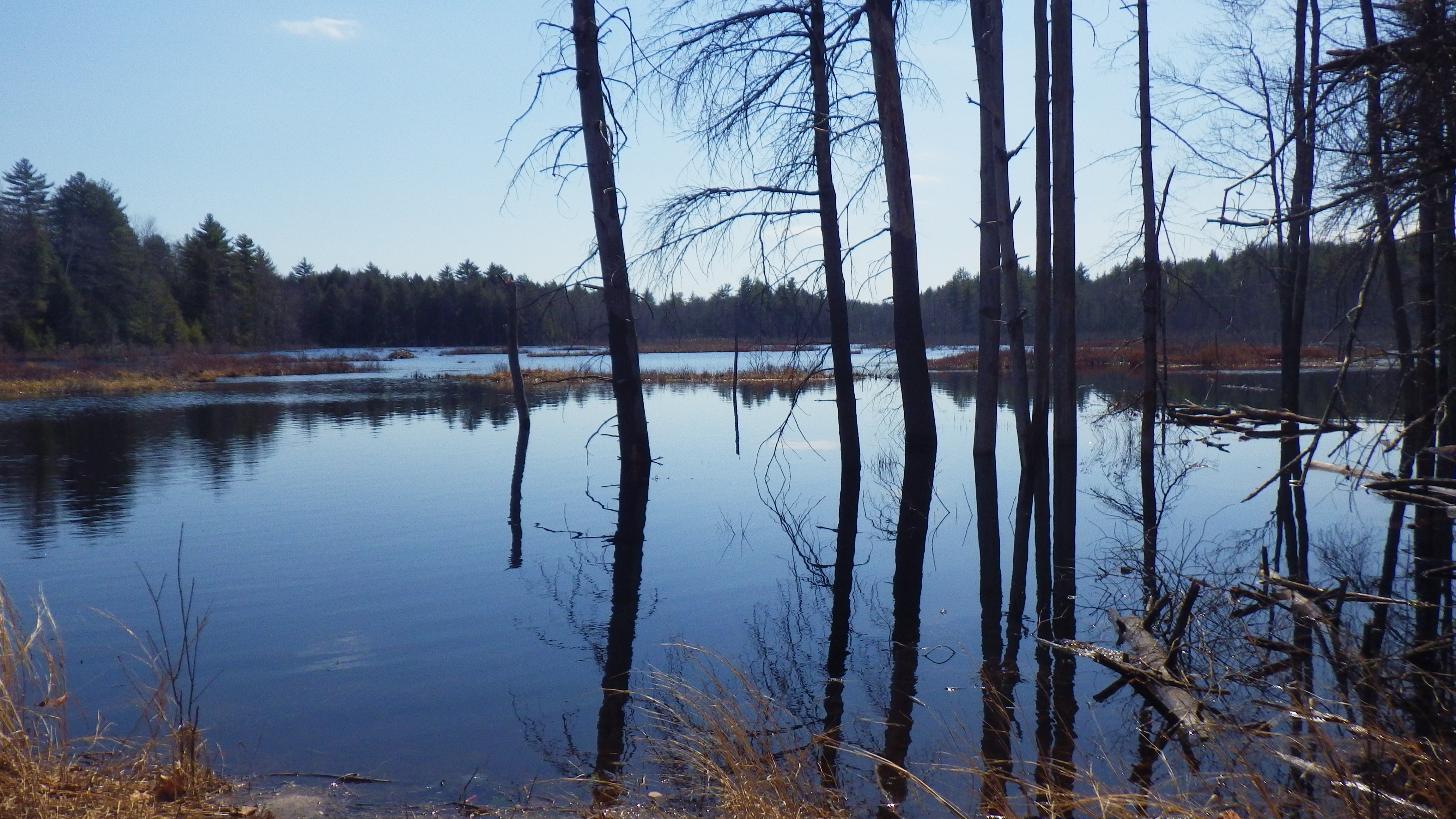 At The Water's Edge