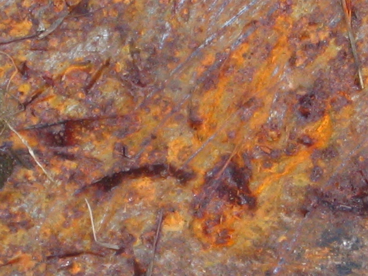 Texture - rust 3.