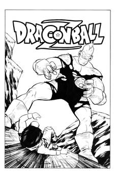 DBZ Cover Inks