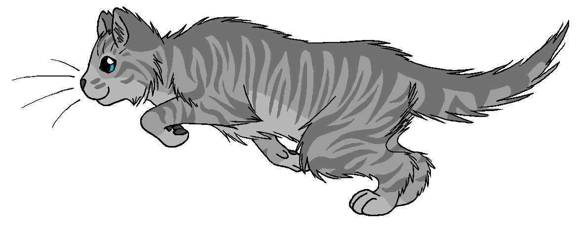 ThunderClan - Cinderheart